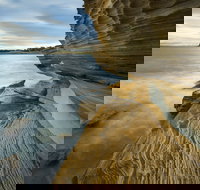 Maria Island - Tourism Noosa