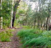 Meroo Lake walking track - Tourism Noosa
