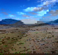 Mount Ramsay and Baralaba Loop - Tourism Noosa