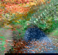 Mount Wilson and Mount Irvine - Tourism Noosa