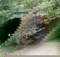 Mushroom Tunnel - Tourism Noosa