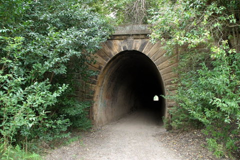 Mushroom Tunnel - Tourism Noosa 0