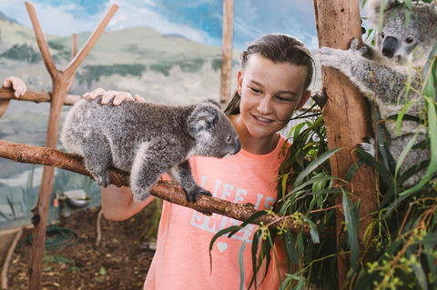 Oakvale Wildlife Park - Tourism Noosa 0