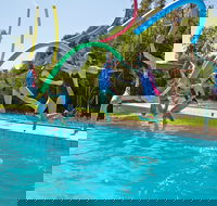 Oaklands War Memorial Swimming Pool - Tourism Noosa