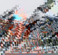 Oddies Creek Adventure Playspace - Tourism Noosa