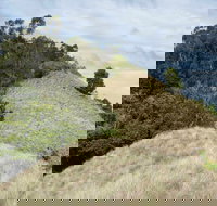 Pieries Peak Walking Track - Tourism Noosa