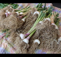 Queanbeyan Park Market - Tourism Noosa