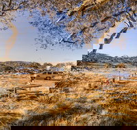 Rennix walking track - Tourism Noosa