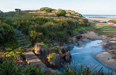 Richmond Beach - Tourism Noosa 0
