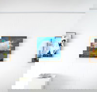 Silver Linings - Tourism Noosa