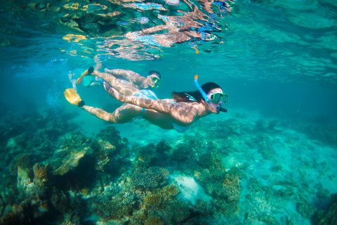 Snorkel The Ningaloo Reef - Tourism Noosa 1