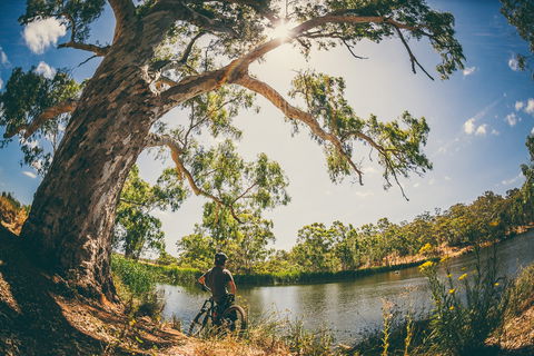 Sturt Gorge Recreation Park - Tourism Noosa 0