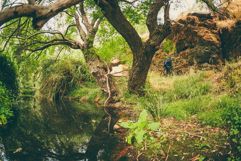 Sturt Gorge Recreation Park - Tourism Noosa 1