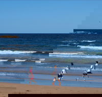 Surf Beach Batemans Bay - Tourism Noosa