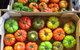 Sydney Produce Market - thumb 1