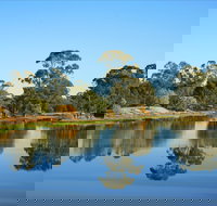 The Gums - Tourism Noosa