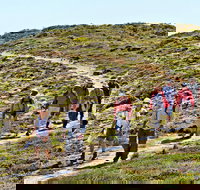 The Sole Walk at Hillocks Drive - Tourism Noosa