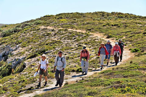 The Sole Walk At Hillocks Drive - Tourism Noosa 0