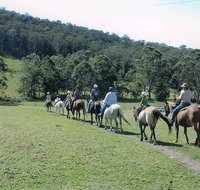 Timbertops - Horse Riding - Tourism Noosa