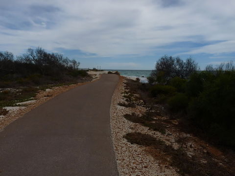 Turquoise Way Trail, Jurien Bay - Tourism Noosa 0