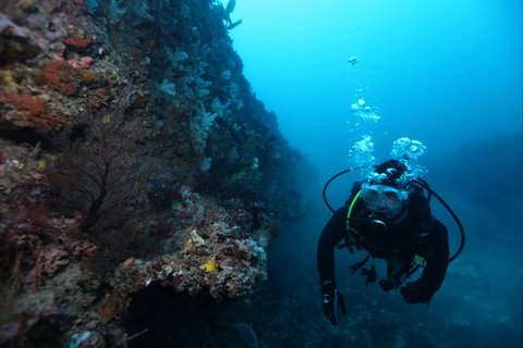 Twelve Apostles Marine National Park - Tourism Noosa 0