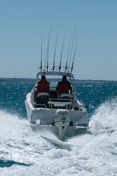 Western Port - Tourism Noosa 1