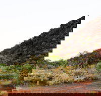 Whyalla Conservation Park - Tourism Noosa