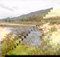 Willis picnic area - Tourism Noosa