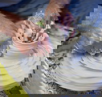 Womboota Artisan Pottery - Tourism Noosa