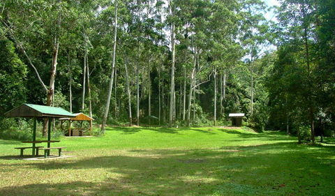 Woolgoolga Creek Picnic Area - Tourism Noosa 0