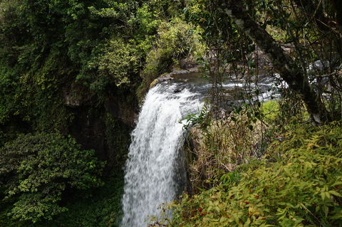 Zillie Falls - Tourism Noosa 0
