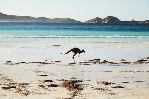 Albany And Esperance - Tourism Noosa 2