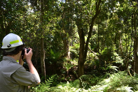 Alfred National Park - Tourism Noosa 0