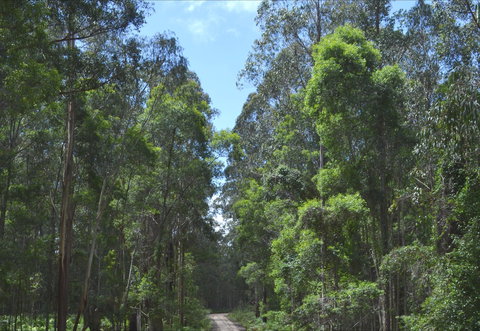 Alfred National Park - Tourism Noosa 1