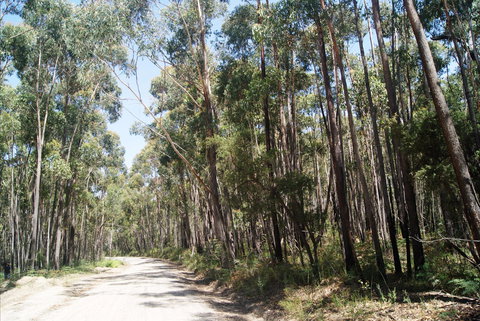 Alfred National Park - Tourism Noosa 2