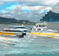 Apex Camps Magnetic Island Group Accommodation Activities and Events - Tourism Noosa