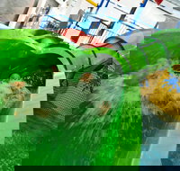 AquaPulse - Tourism Noosa