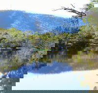 Avon River Walk Trail and Janet Millet Lane - Tourism Noosa