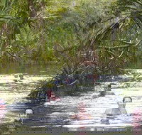 Berry Springs - Tourism Noosa