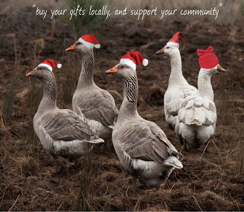 Bream Creek Farmers Market - Tourism Noosa 1