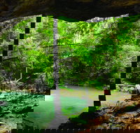 Buderim - Tourism Noosa