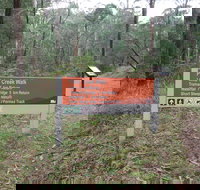 Carter's Mill Picnic and Camping Area - Tourism Noosa