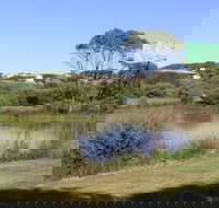 Centennial Park Beachport - Tourism Noosa