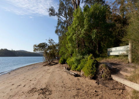 Clyde River National Park - Tourism Noosa 0