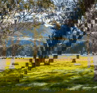 Coast to the Highlands Scenic Drive  Kangaroo Valley - Tourism Noosa