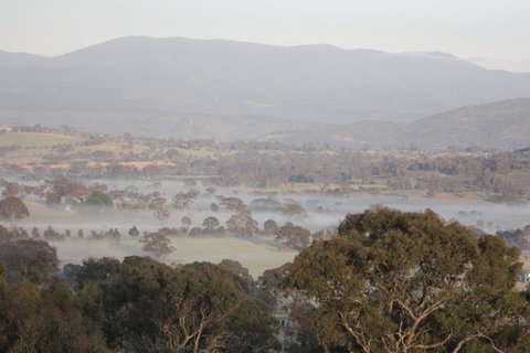 Cooleman Ridge - Tourism Noosa 2