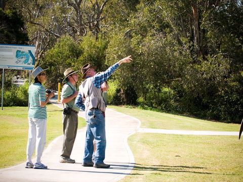 Eagleby Wetlands - Tourism Noosa 2