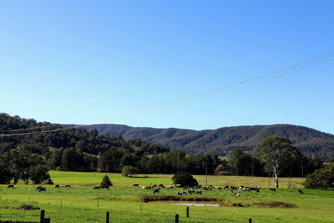 Farm Visit  Dungog - Tourism Noosa 1