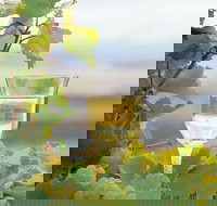 Flavours of the Porongurup Range Trail - Tourism Noosa