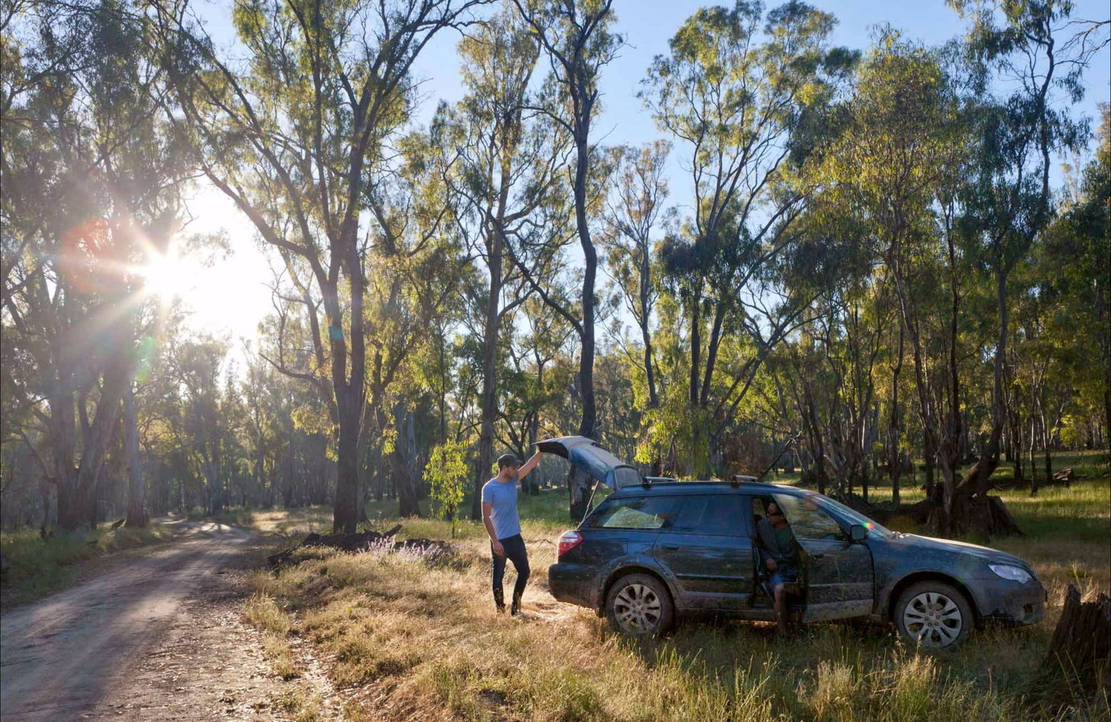 Cudgel NSW Tourism Noosa